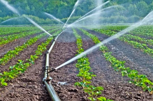  irrigation system 